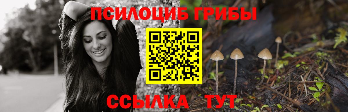 Псилоцибиновые грибы прущие грибы Верхняя Пышма
